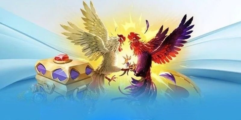 Trang chủ 1xbit trực tiếp đá gà chất lượng cao