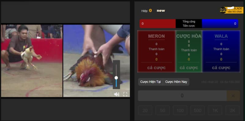Đá gà Sabong 1Xbit: Live cực nét, kèo cực hay, thưởng cực lớn 3 chọi gà Sabong dễ hiểu
