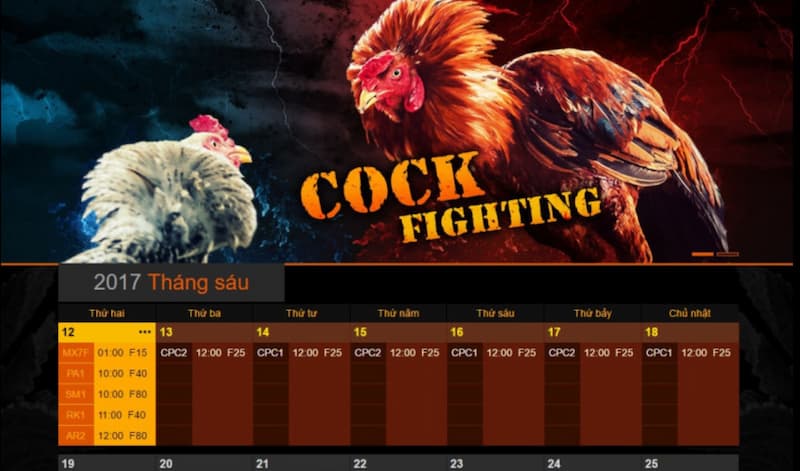 Đá gà Sabong 1Xbit: Live cực nét, kèo cực hay, thưởng cực lớn 4 Tỷ lệ thưởng cửa BDD